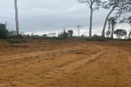 Lena Real Estate - Kribi