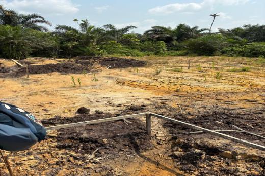 Lena Real Estate - BWANG BAKOKO
