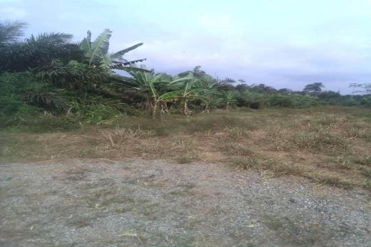 Lena Real Estate - MOULANGA